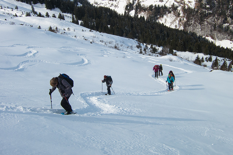 Schneeschuhtour Druesberghütte PPB