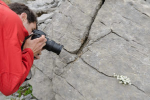 Workshop Naturfotografie in der Region des Berninapasses